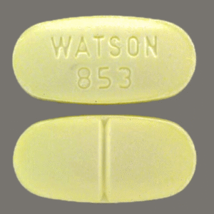 Hydrocodone Watson